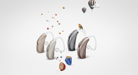 HOLISTIC HEARING AID FITTING